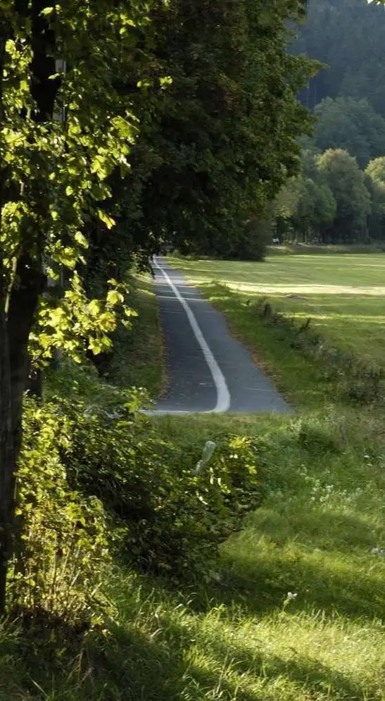 Cycle path along the river